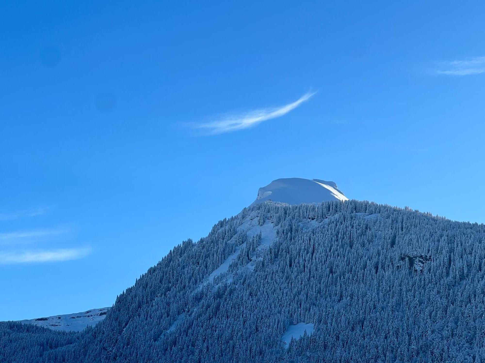 Hotel Igloo Morzine Eksteriør billede