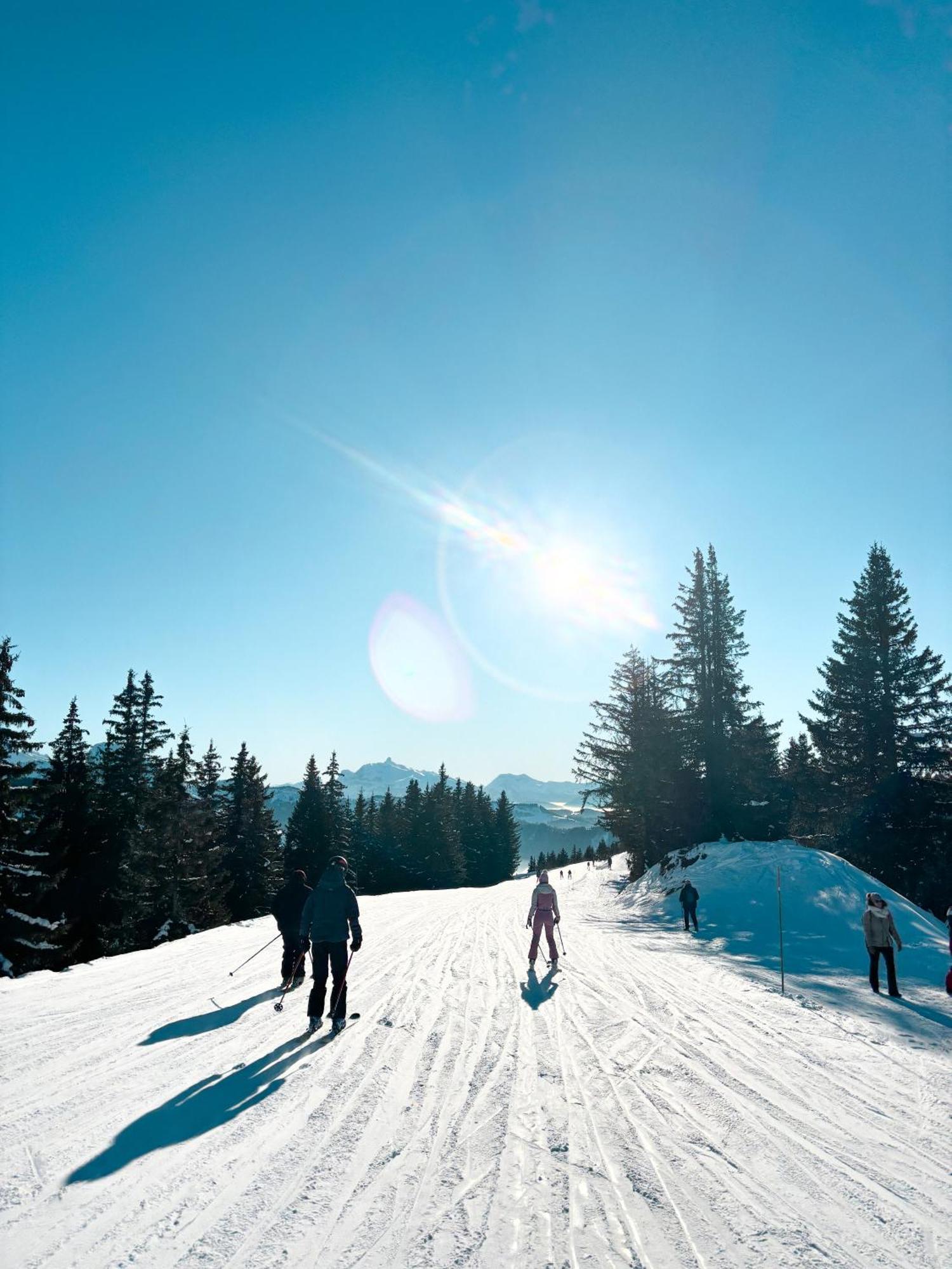 Hotel Igloo Morzine Eksteriør billede